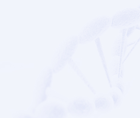 LETOU - 乐投(中文)官方网站